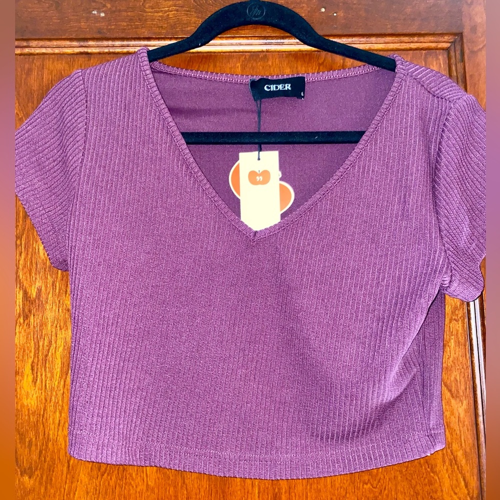 Cider Mauve Ribbed V-Neck Crop Top